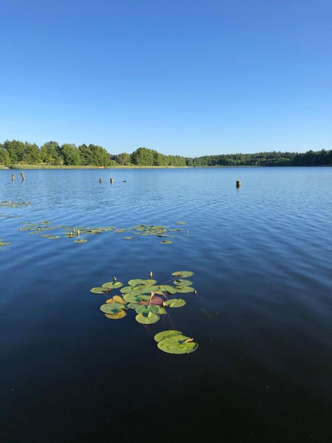 5 Sterne-Ferienhaus Eisvogel Am See Mit Sauna Und Kamin Krakow am See Exteriör bild
