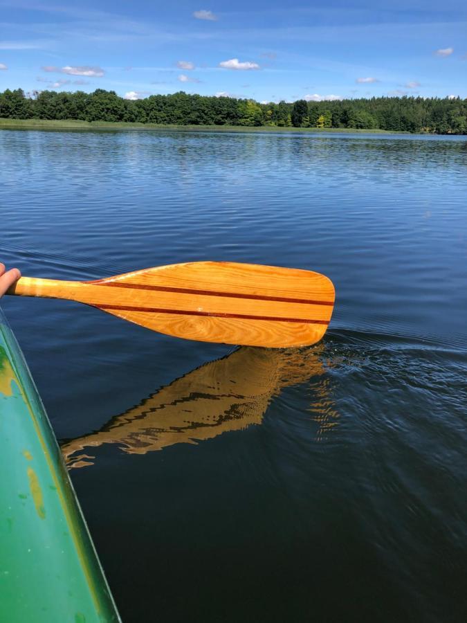5 Sterne-Ferienhaus Eisvogel Am See Mit Sauna Und Kamin Krakow am See Exteriör bild